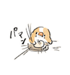 わっふのおえかきキンカスタンプ（個別スタンプ：30）