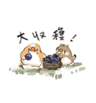 わっふのおえかきキンカスタンプ（個別スタンプ：38）