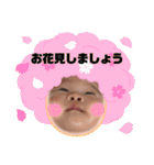 月希ちゃん①（個別スタンプ：30）