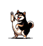 無言で伝える太っちょ黒柴（個別スタンプ：16）