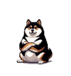 無言で伝える太っちょ黒柴（個別スタンプ：30）