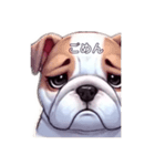 日常使えるかわいい犬のスタンプ（個別スタンプ：1）