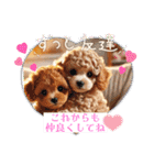 可愛いトイプードルの日常会話集（個別スタンプ：7）