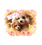 可愛いトイプードルの日常会話集（個別スタンプ：10）