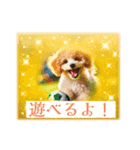 可愛いトイプードルの日常会話集（個別スタンプ：12）