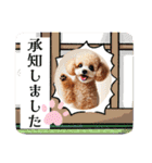 可愛いトイプードルの日常会話集（個別スタンプ：14）