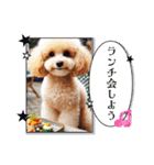 可愛いトイプードルの日常会話集（個別スタンプ：15）
