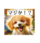 可愛いトイプードルの日常会話集（個別スタンプ：19）