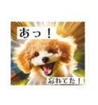 可愛いトイプードルの日常会話集（個別スタンプ：20）