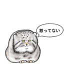 なんだか偉そうなマヌルネコ（個別スタンプ：25）