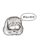 なんだか偉そうなマヌルネコ（個別スタンプ：33）