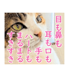 クーとミーの甘い生活（個別スタンプ：5）