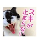 クーとミーの甘い生活（個別スタンプ：9）
