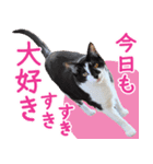 クーとミーの甘い生活（個別スタンプ：10）