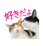 クーとミーの甘い生活（個別スタンプ：11）