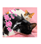 クーとミーの甘い生活（個別スタンプ：18）