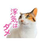 クーとミーの甘い生活（個別スタンプ：19）