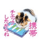 クーとミーの甘い生活（個別スタンプ：22）