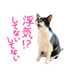 クーとミーの甘い生活（個別スタンプ：24）