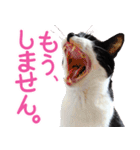 クーとミーの甘い生活（個別スタンプ：25）