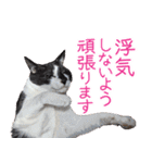 クーとミーの甘い生活（個別スタンプ：26）