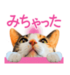 クーとミーの甘い生活（個別スタンプ：32）