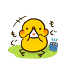 ぴよんず（個別スタンプ：11）