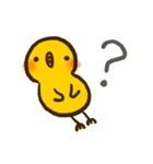 ぴよんず（個別スタンプ：19）
