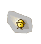 ぴよんず（個別スタンプ：22）