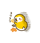 ぴよんず（個別スタンプ：30）