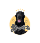 黒ラブのなぎちゃん（個別スタンプ：2）