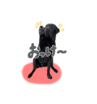 黒ラブのなぎちゃん（個別スタンプ：3）