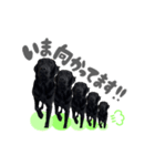 黒ラブのなぎちゃん（個別スタンプ：4）