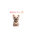 可愛い！コロコロチワワ ちゃん（個別スタンプ：2）