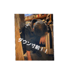 フーターズ横浜（個別スタンプ：18）