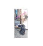 フーターズ横浜（個別スタンプ：22）