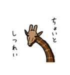 きりん…です。（個別スタンプ：21）