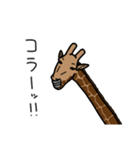 きりん…です。（個別スタンプ：39）