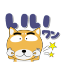 毎日、柴犬くん デカ文字（再販）（個別スタンプ：3）