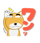 毎日、柴犬くん デカ文字（再販）（個別スタンプ：4）