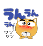 毎日、柴犬くん デカ文字（再販）（個別スタンプ：5）