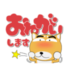 毎日、柴犬くん デカ文字（再販）（個別スタンプ：6）