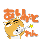 毎日、柴犬くん デカ文字（再販）（個別スタンプ：9）