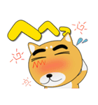 毎日、柴犬くん デカ文字（再販）（個別スタンプ：12）