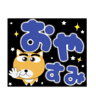 毎日、柴犬くん デカ文字（再販）（個別スタンプ：17）