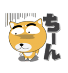 毎日、柴犬くん デカ文字（再販）（個別スタンプ：30）