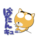 毎日、柴犬くん デカ文字（再販）（個別スタンプ：31）