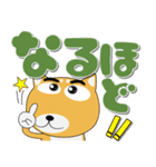 毎日、柴犬くん デカ文字（再販）（個別スタンプ：32）