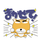 毎日、柴犬くん デカ文字（再販）（個別スタンプ：36）