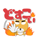 毎日、柴犬くん デカ文字（再販）（個別スタンプ：37）